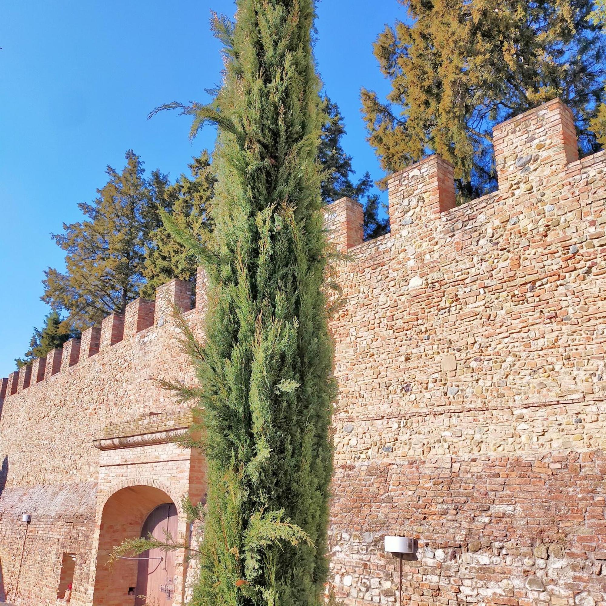 Palazzo Stiozzi Ridolfi Apartman Certaldo Kültér fotó